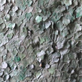 250522-124311 FZ P1000974.JPG